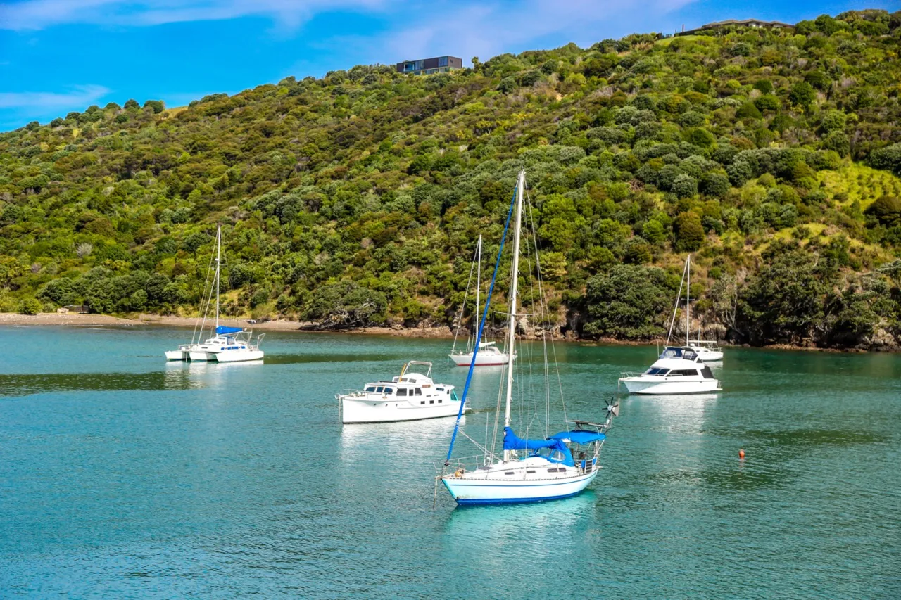 Matiatia Harbour